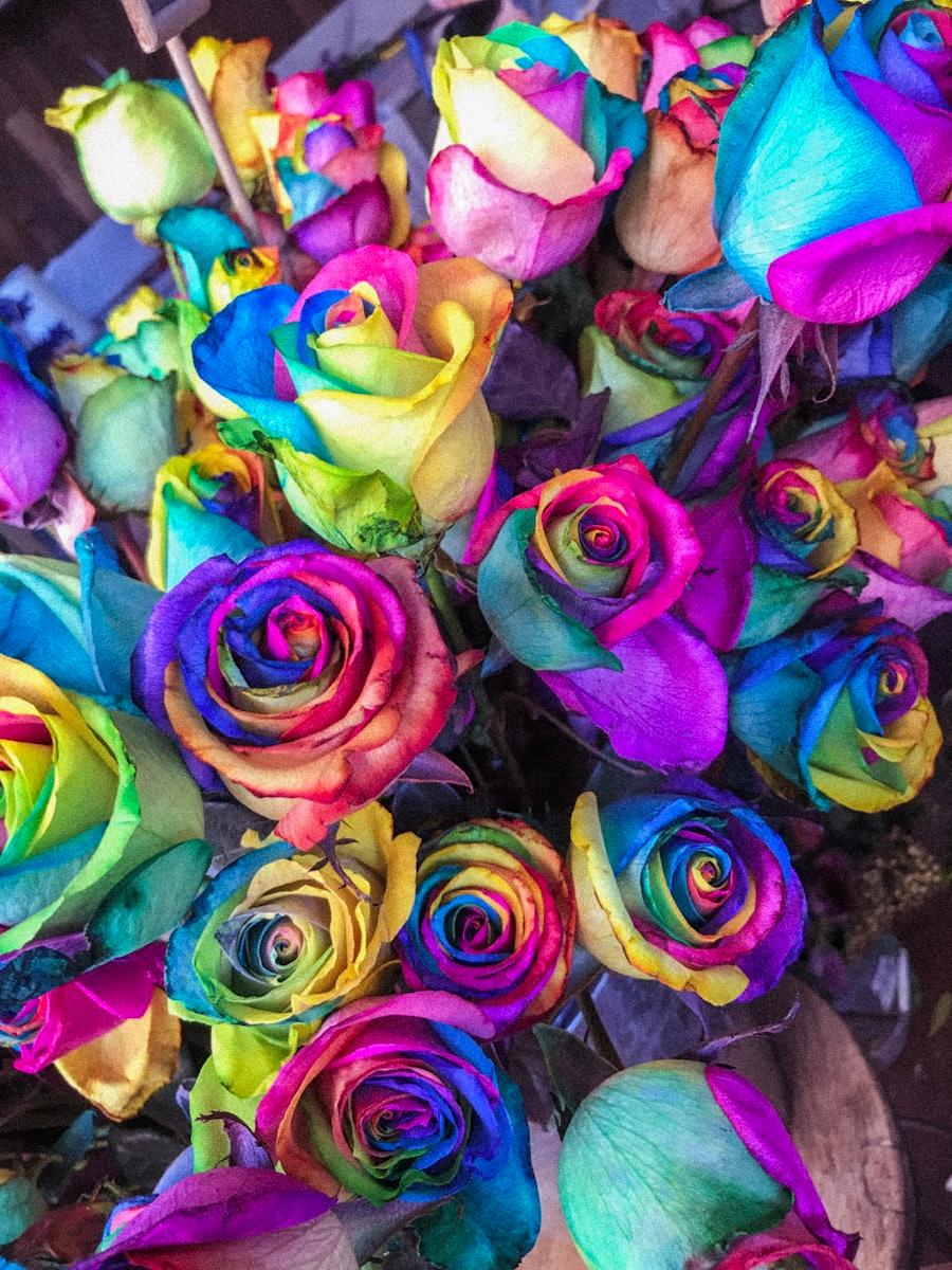 A bouquet of rainbow-dyed roses